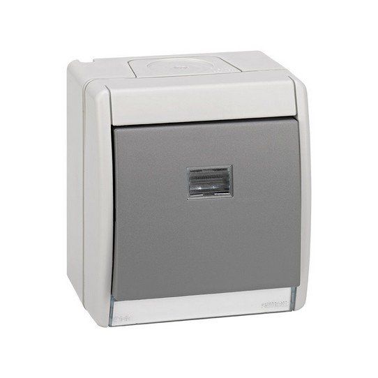 Conmutador gris 10AX 250V con luminoso IP55
