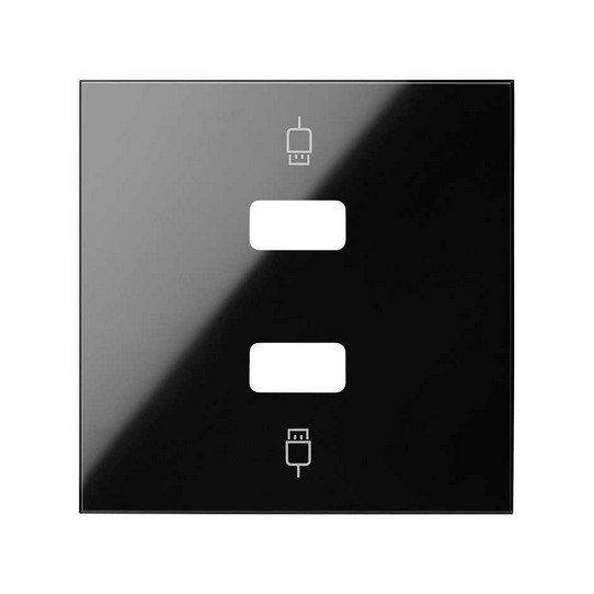 Tapa para 2 conectores USB 2M