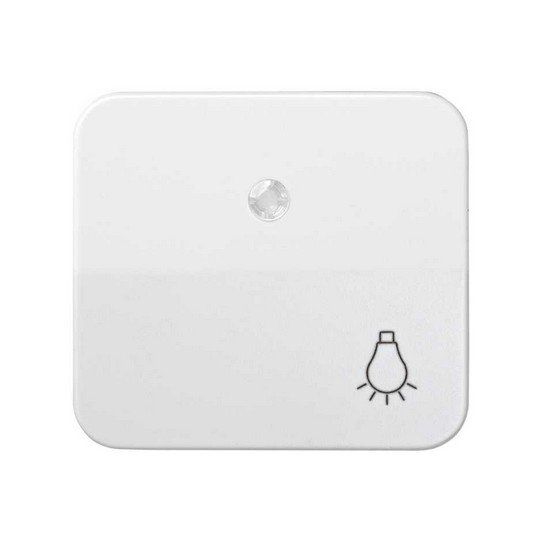 Tecla pul.con grabado luz + visor para luminoso.