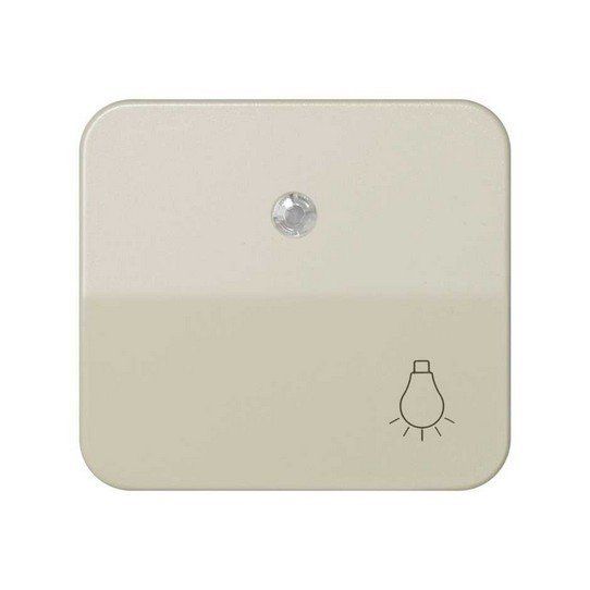 Tecla pulsador con grabado luz + visor para luminoso.