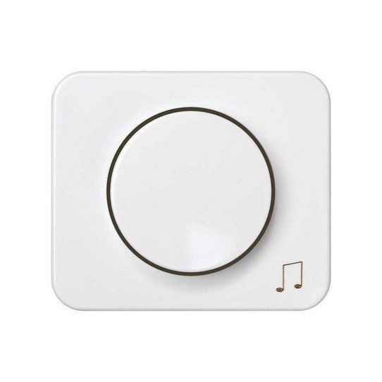 Placa y boton potenciometro altavoz