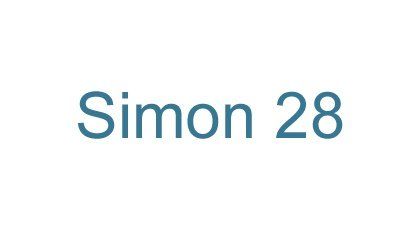 Simon 28