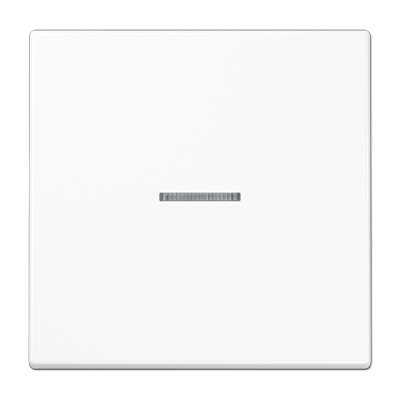 Tecla pulsador simple con visor LS color blanco alpino