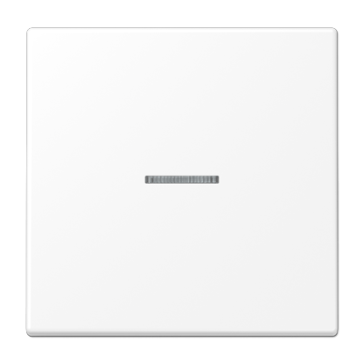 Tecla pulsador simple con visor LS bl color mate