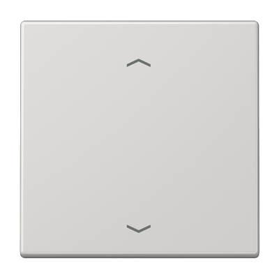 Tecla pulsador simple pers. LS gris cl