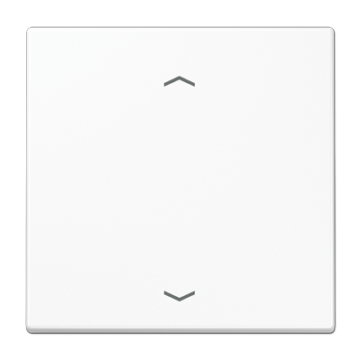 Tecla pulsador simple pers. LS color blanco alpino