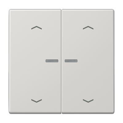 Tecla pulsador doble con visor/pers. LS color gris