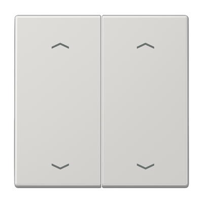 Tecla pulsador doble pers. LS gris cl