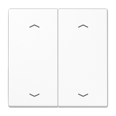 Tecla pulsador doble pers. LS color blanco alpino