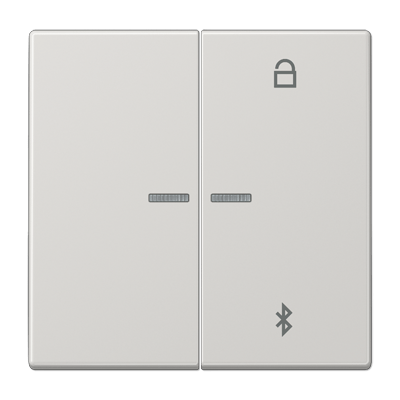 Tecla programable univ. BT. LS color gris claro