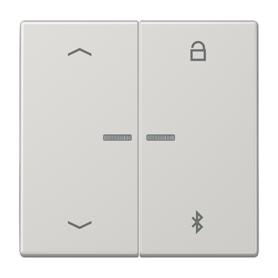 Tecla programable univ. BT pers. LS gris cl