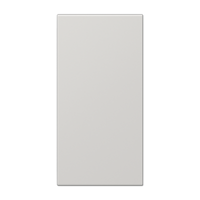 Placa central rotulación F50 LS gris cl