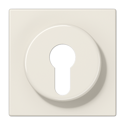 Placa interruptor llave LS color blanco