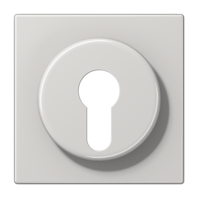 Placa interruptor llave LS color gris claro
