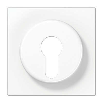 Placa interruptor llave LS color blanco alpino