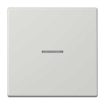 Tecla simple con visor LS color gris claro