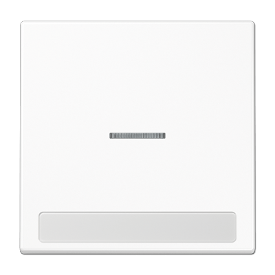 Tecla c/ visor e inscr. LS color blanco alpino