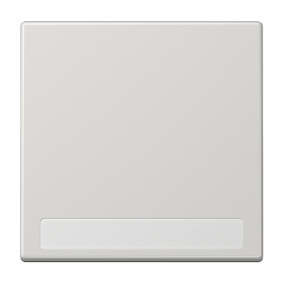 Tecla simple inscr. LS color gris claro