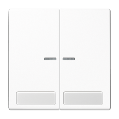 Tecla doble inscr. LS color blanco alpino