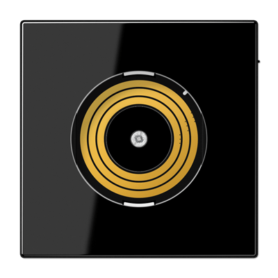 Placa central P&L. LS color negro