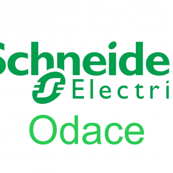 Odace