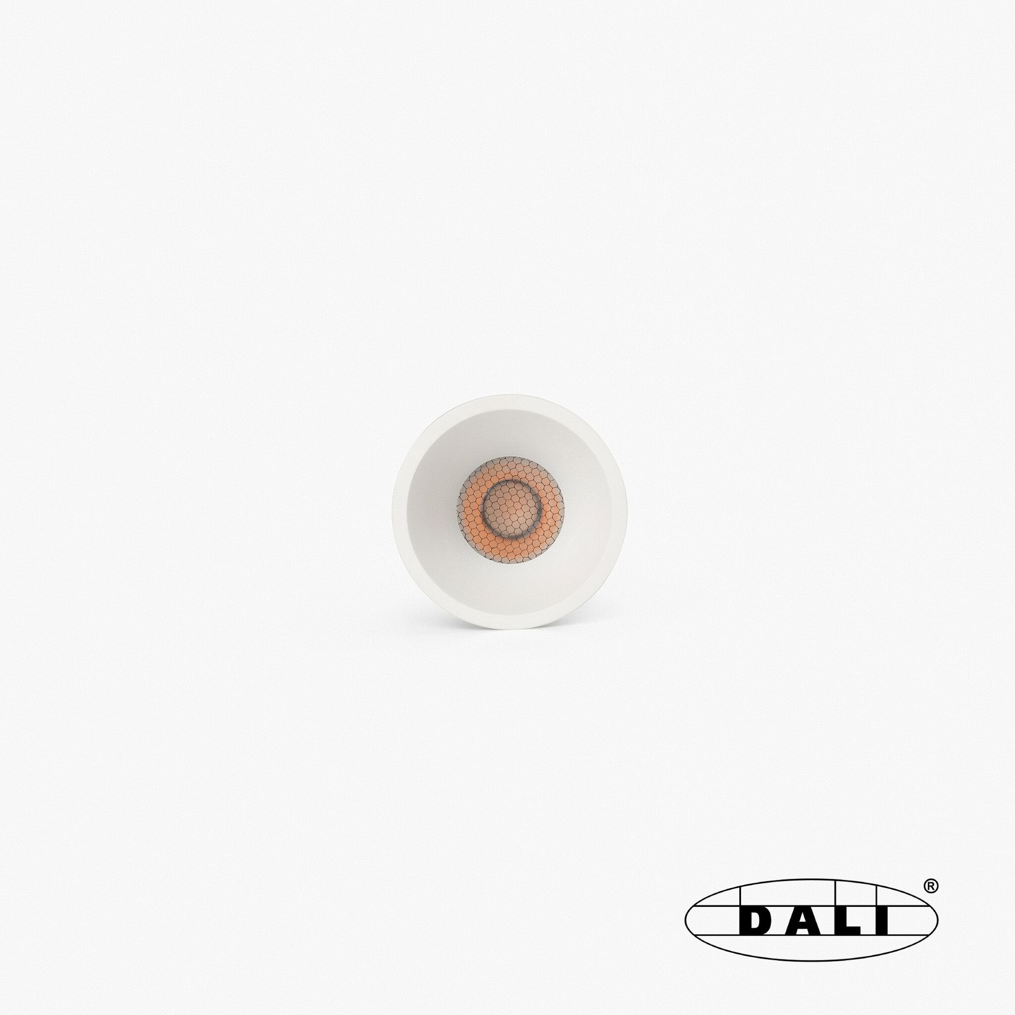 TULIPA downlight empotrable blanco 10W 36° 2700K CRI90 DALI