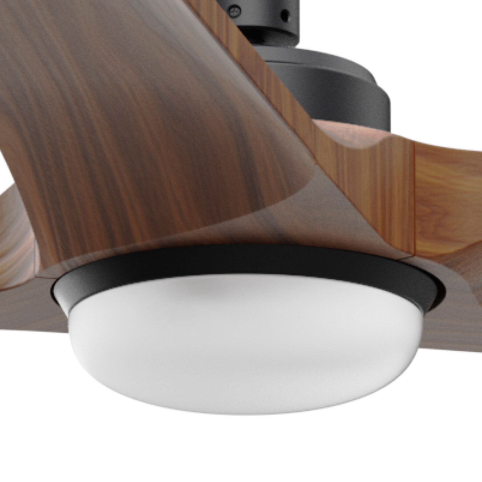Kit de luz negro para HEY / HEYWOOD CCT dimable