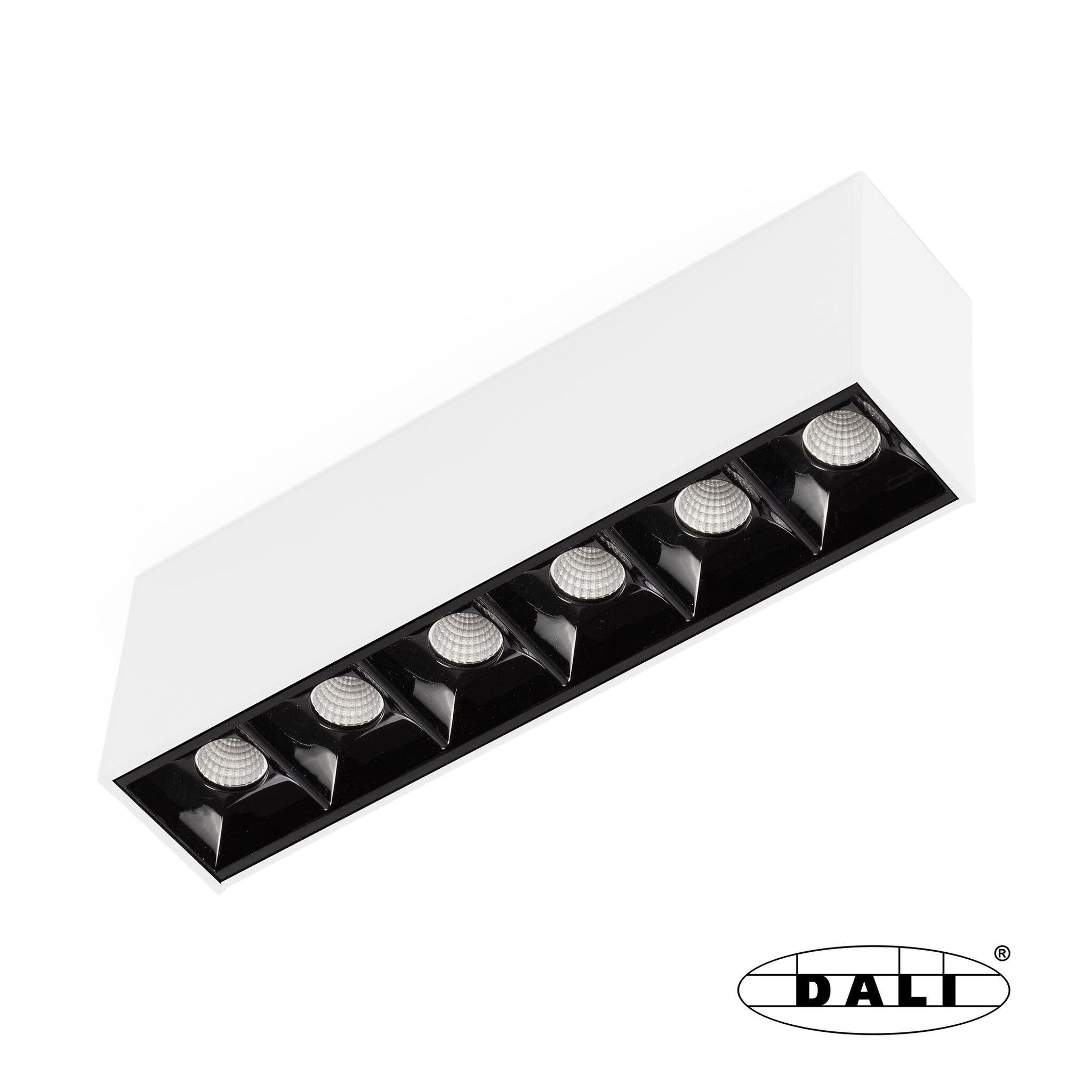 Neso POINT6 2700K 34° blanco DALI