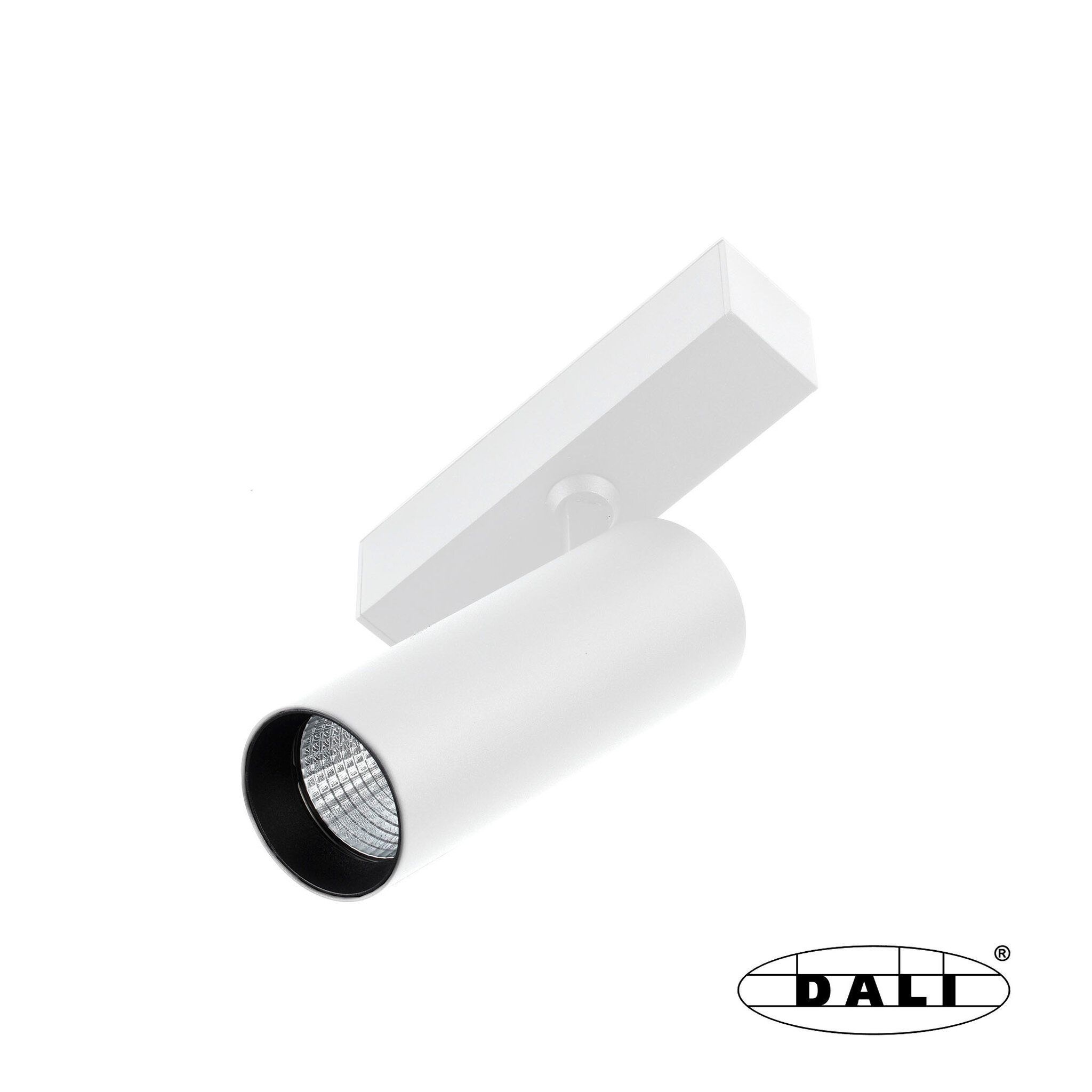 Neso hole 10W 3000K 18° blanco DALI