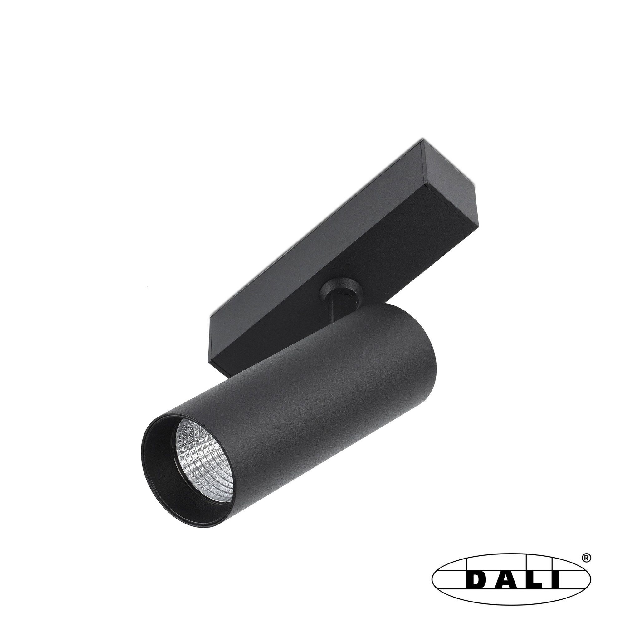 Neso hole 10W 3000K 18 grados DALI
