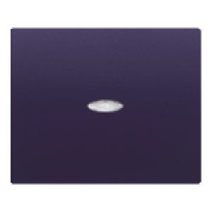 Tecla interruptor /conmutador/cruzamiento con difusor