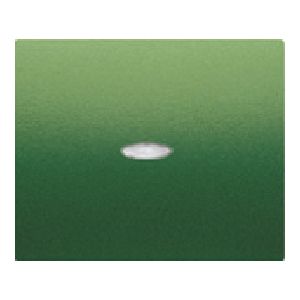 Tecla interruptor /conmutador/cruzamiento con difusor