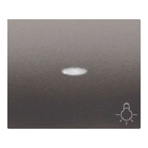 Tecla pulsador luz con difusor