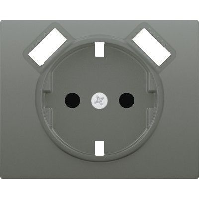 Tapa base enchufe seguridad 2 usb acero neptuno