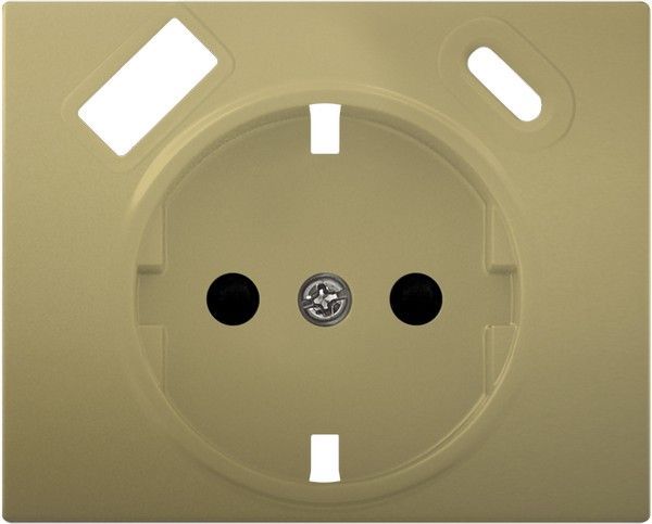 Tapa schuko usb ac dorado odisea