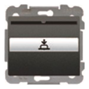 Interruptor -conmutador tarjetero 1 microrruptor marron samoa 10 (1.5) a 250 v~ con lámpara in