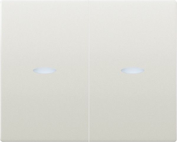 Juego teclas doble interruptor /doble conmutador. con señalizador color blanco satinado