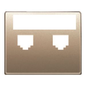 Tapa con portaetiquetas para 2 conectores rj bronce niebla