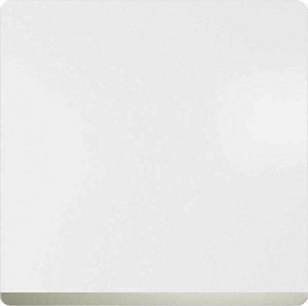 Tecla embellecedor cromo color blanco mate