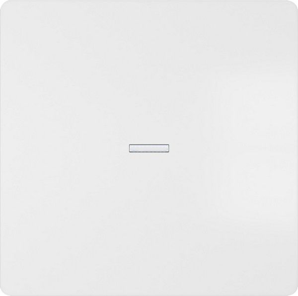 Tecla simple difusor color blanco mate