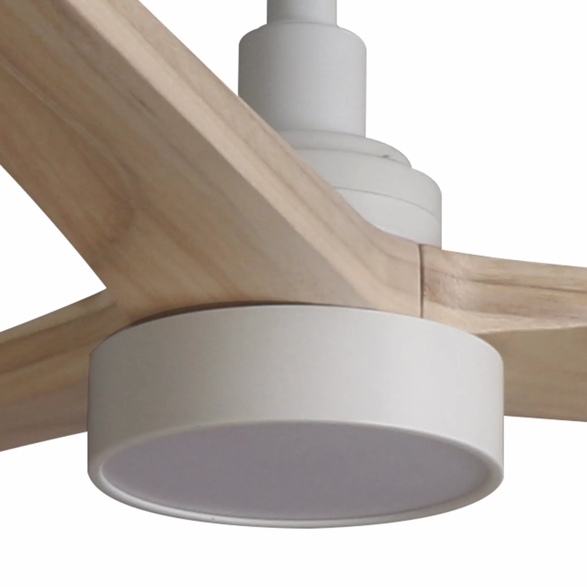 TAKI Kit de luz blanco SWT 20W dimable