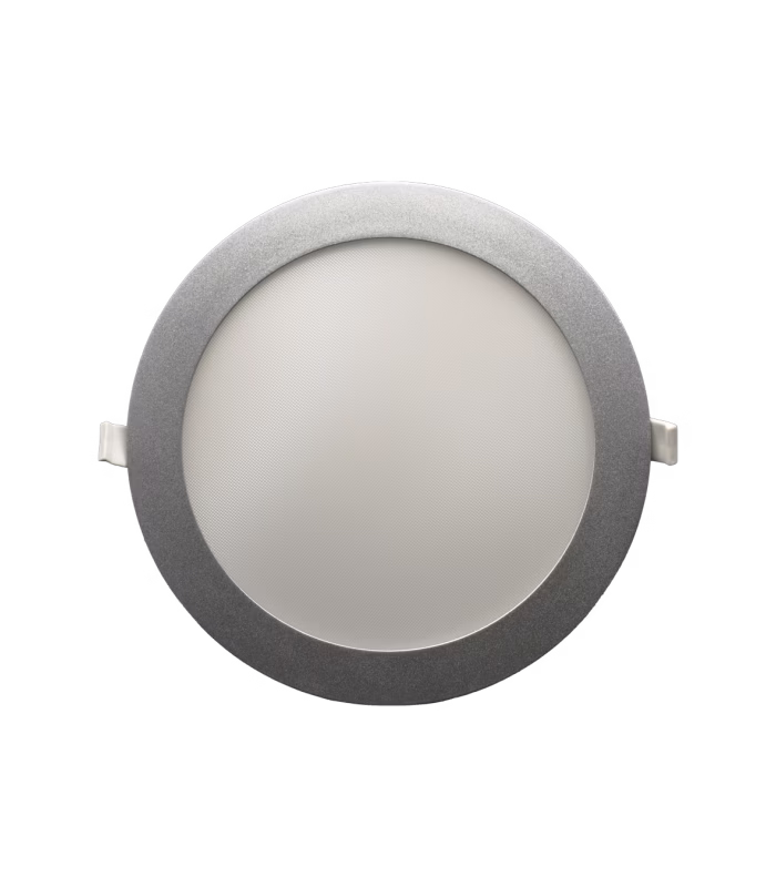 Roy pro silver - Imagen 3