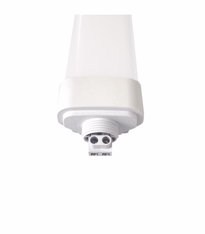 Yuba eco - Imagen 3